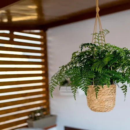 شقة Sciaraqa مازارا ديل فالو